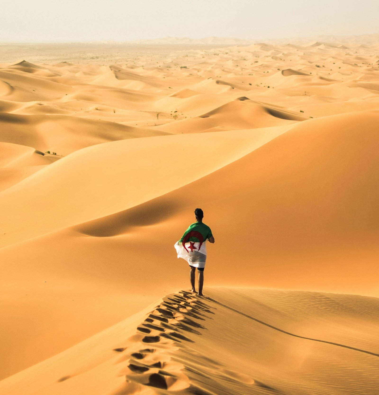 Navigating Misinformation in Algeria: The Importance of Critical Thinking Skills